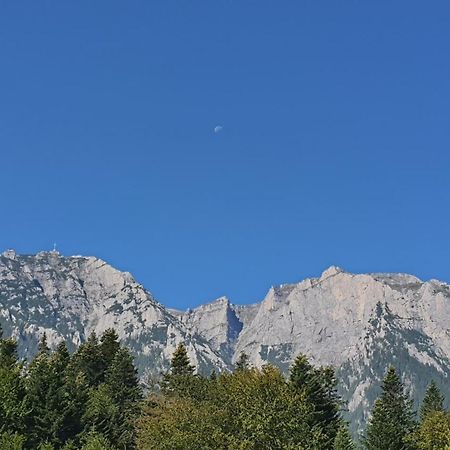 Pensiunea Luna Buşteni Exterior foto