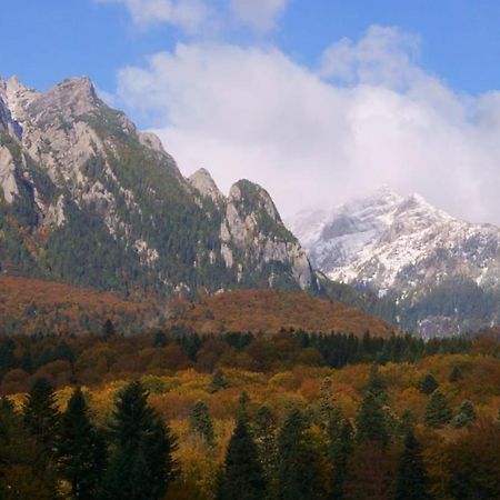Pensiunea Luna Buşteni Exterior foto