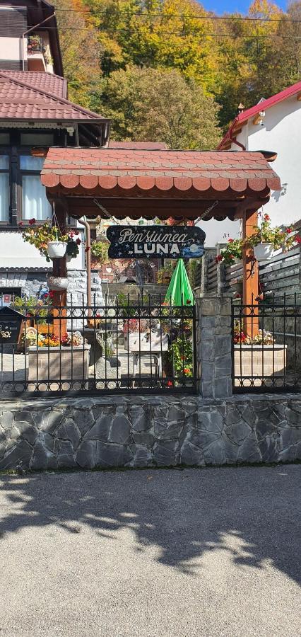 Pensiunea Luna Buşteni Exterior foto